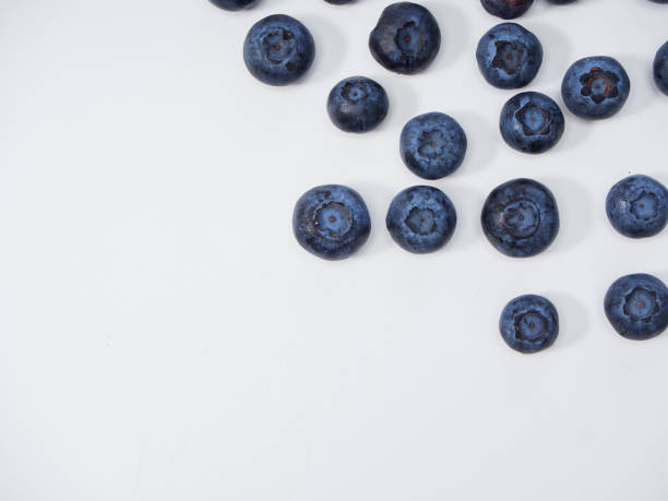 istock Blueberry frame on white background. Healthy food design 1166553904