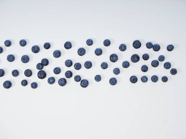 istock Blueberry frame on white background. Healthy food design 1166553912