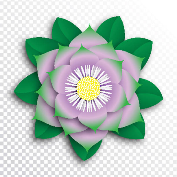 istock paper cut flower with realistic shadow on transparent background. floral decoration for banner, poster, invitation, greeting card 1166554842