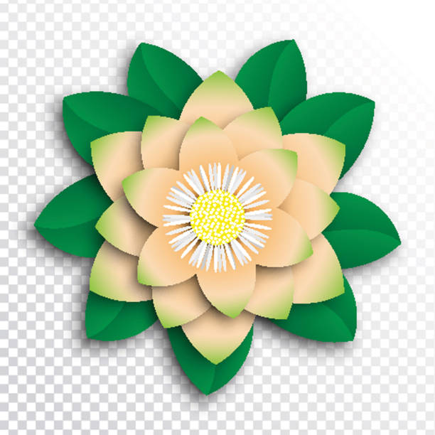 istock paper cut flower with realistic shadow on transparent background. floral decoration for banner, poster, invitation, greeting card 1166554843