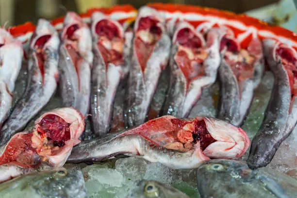 Photo of Fresh Catfish ready to cook in Muang Chumphon Municipal Food Market, Thailand