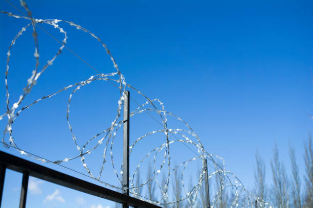 istock Barbed wire over the fence against the blue sky 1166557350