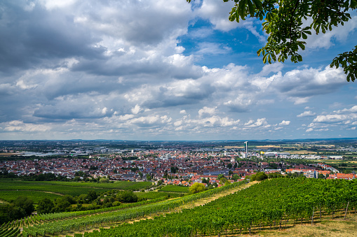 Germany, Wide view above roofs of cityscape of city fellbach near stuttgart in summer surrounded by green vineyards