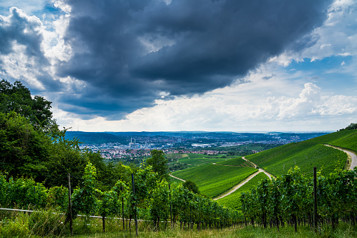 Germany, Dangerous thundery clouds over city of stuttgart behind green vineyard nature landscape from kappelberg mountain in summer