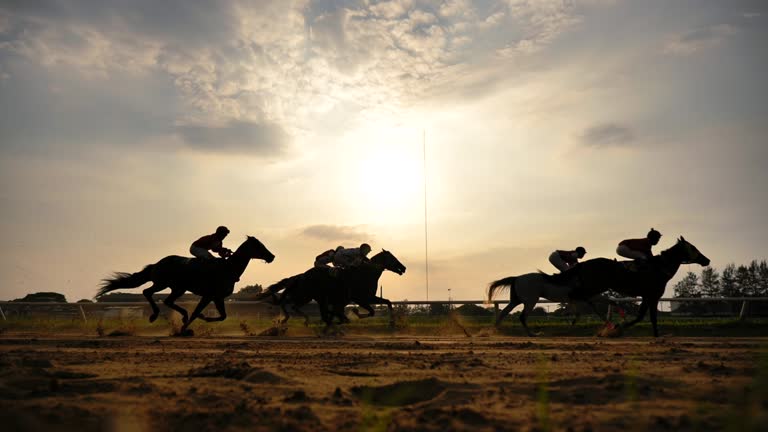 Scene slow motion silhouette of horse racing