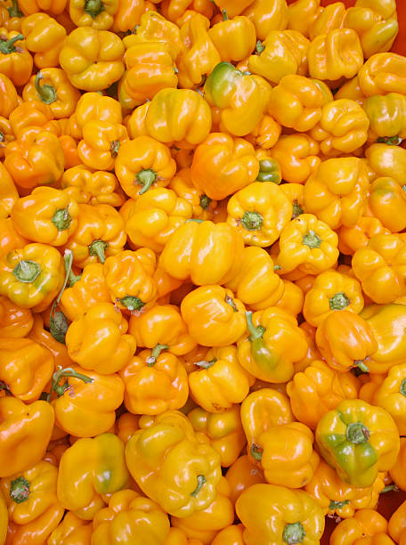 Yellow bell peppers on display at the Portland, Oregon farmer's market.