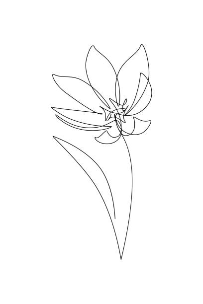 Abstract flower Abstract flower in continuous line drawing style. Black line sketch on white background. Vector illustration single flower flower black blossom stock illustrations