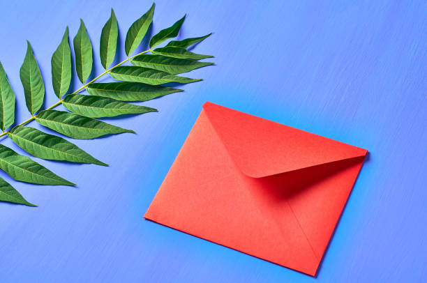 istock One red closed envelopes near big green leaf on blue concrete 1166565782