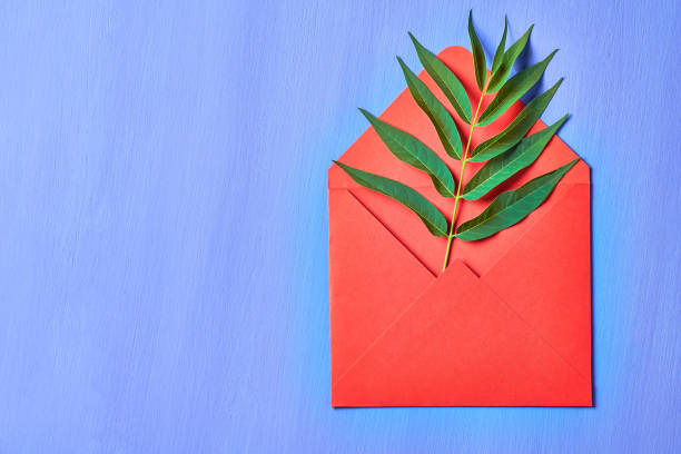 istock One red open envelopes with green leaf on blue concrete. Space for text. Top view 1166565786
