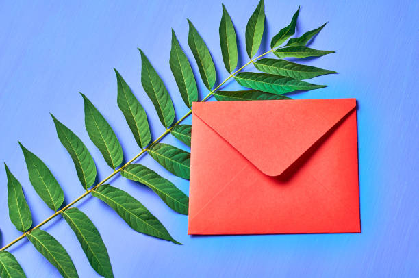 istock One red closed envelopes near big green leaf on blue concrete. Space for text. Top view 1166565809