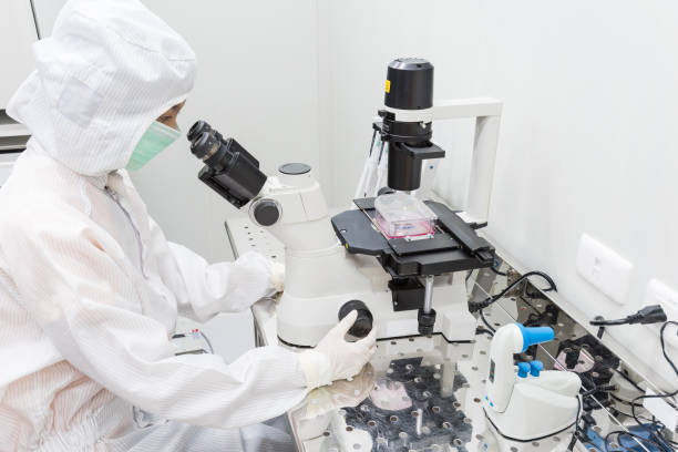 A scientist in sterile coverall gown looking cell morphology of cell culture under microscope. Doing biological research in clean environmental. Cleanroom facility stock photo