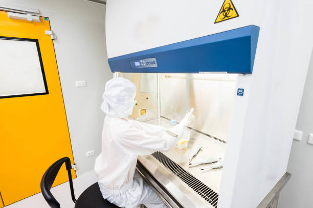 A scientist in sterile coverall gown pipetting medium or reagents for cell culture experiment in biological safety cabinet. Doing biological research in clean environmental. Cleanroom facility stock photo