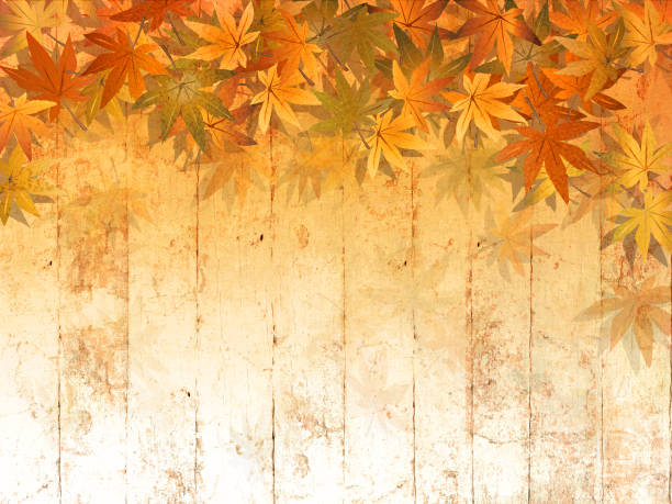 ilustrações, clipart, desenhos animados e ícones de queda deixa a beira de encontro ao fundo de madeira no estilo da aguarela-tema da acção de graças - autumn leaf nature november