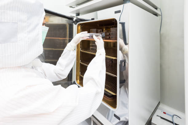 A scientist in sterile coverall gown placing cell culture flasks in the CO2 incubator. Doing biological research in clean environmental. Cleanroom facility stock photo