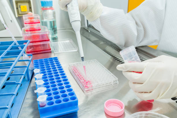 istock A scientist  doing cell culture experiment in cleanroom facility. 1166567592