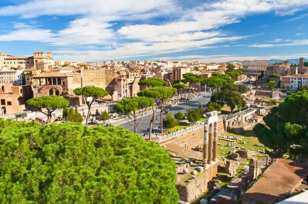 Ruins of Colosseo, Templum Pacis (Forum of Vespasian) and Tempio di Venere e Roma among many high green trees. Old town of Rome, Italy. Sunny autumn day. Shot from above