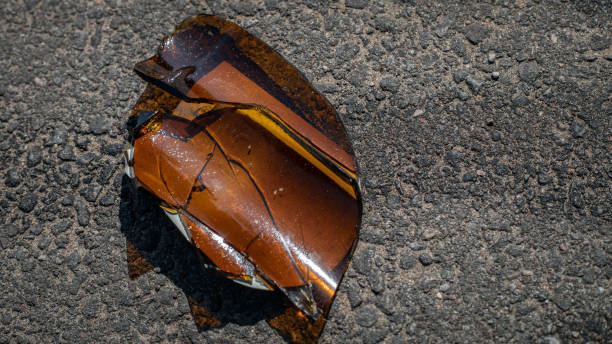 istock Shattered beer bottle on the ground 1166571592
