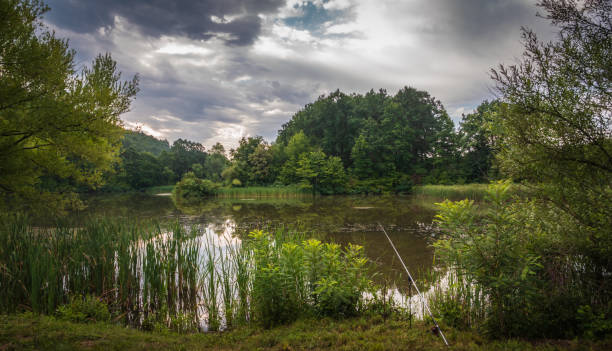 istock Natural lake scenic with cloudy sky 1166572238