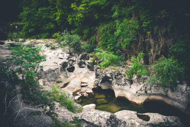 High angle view through the branches of eroded rock formation and boulder stack in Seran riverbed, small river in Bugey mountains, in middle of lush foliage forest in summer. Shot in Bugey mountains, in Ain, Auvergne-Rhone-Alpes region in France (Europe).