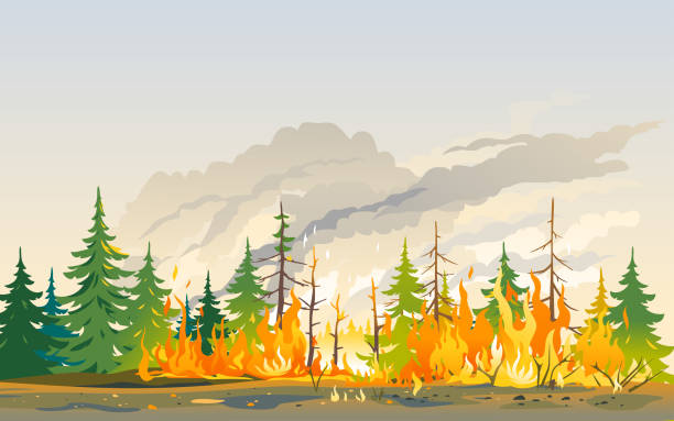 ilustraciones, imágenes clip art, dibujos animados e iconos de stock de paisaje de desastres de naturaleza forestal ardiente - heat vector environment animal