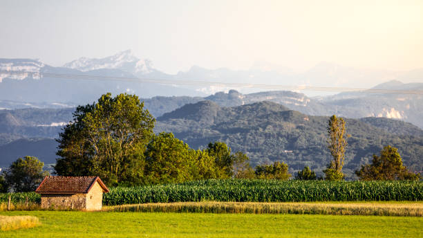 small old stone hut structure called grangeon typical of bugey region in middle of french fields with alps mountains in background at sunset - france european alps landscape meadow imagens e fotografias de stock