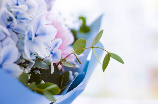 Bouquet of flowers close-up. Joyful mood, a gift from a loved one. Summer flowers. Peonies, hydrangea and others. Soft focus.
