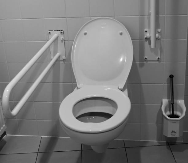 istock public and domestic wc interior area 1166575192
