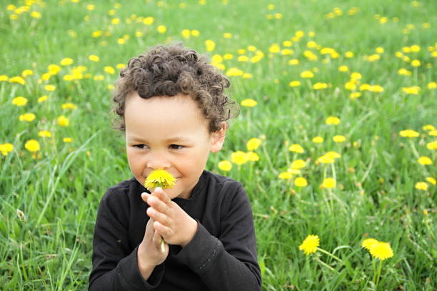 istock boy smelling dandelion flowers 1166576786