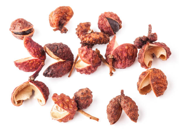 istock Sichuan pepper isolated on white background, closeup, macro 1166577054