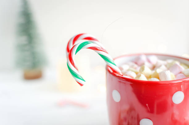 istock Cup of cocoa with marshmallows and glazed christmas gingerbread 1166578150