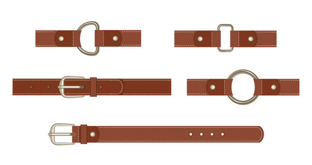 Brown leather belt with buttoned steel buckle, unbuttoned and with different metal haberdashery accessories Brown leather belt with buttoned steel buckle, unbuttoned and with different metal haberdashery accessories isolated on a white background. Vector illustration in cartoon flat style. belt stock illustrations
