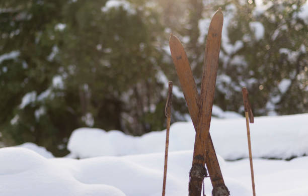 istock Old wooden skis 1166579225