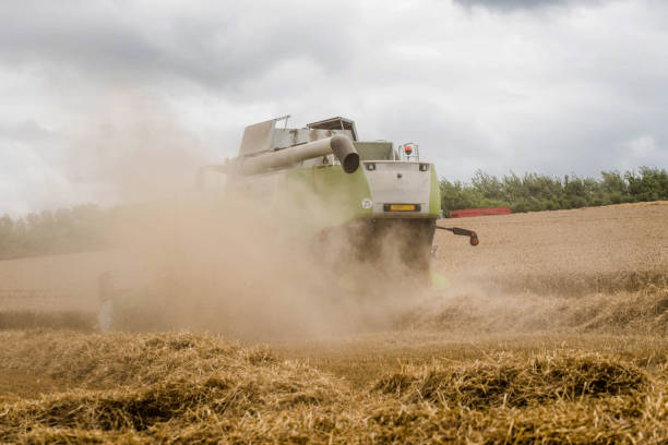 istock combine harvester in action in the dust 1166580760