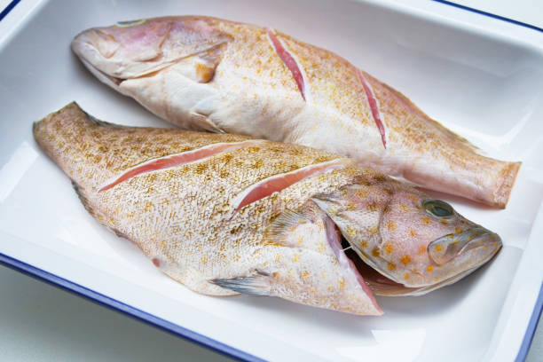 istock Fresh grouper on a plate ready to cook 1166581078