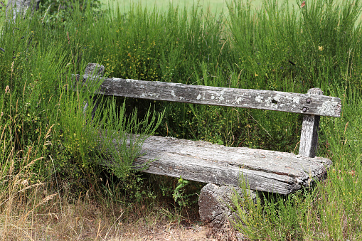 Park bench in Mountain Top Arboretum in Tannersville, New York State.