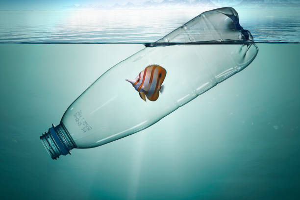 istock Plastic bottle with fish, pollution that floats in the ocean 1166583178