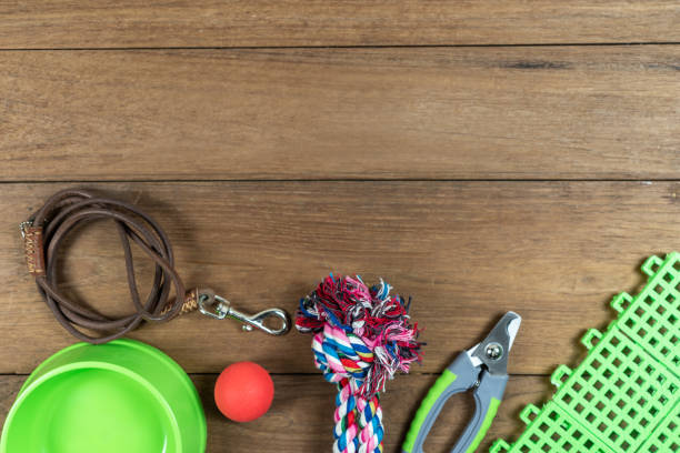 Pet leashes and rubber toy on wooden background.  Pet accessories concept stock photo