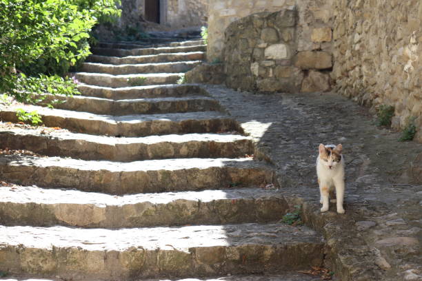 istock Stone stairway - Village of Mirmande 1166585976