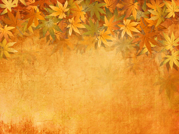 illustrazioni stock, clip art, cartoni animati e icone di tendenza di sfondo autunnale astratto con bordo foglie autunnali - tema ringraziamento - season yellow copy space autumn