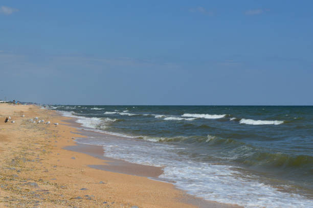 istock Sea view from the beach 1166589017
