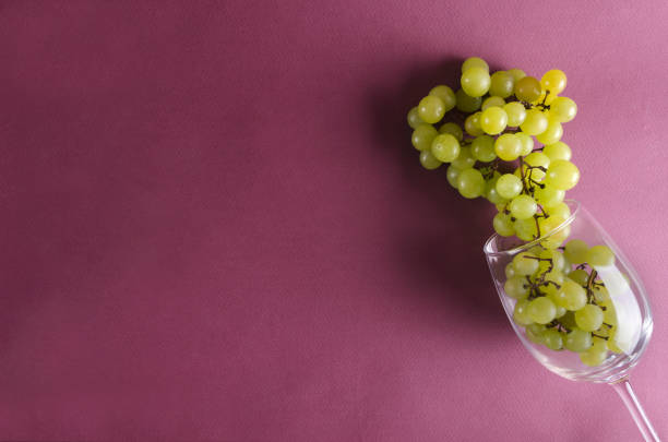 Fresh blue and green grapes with leaves. Grapes and jug