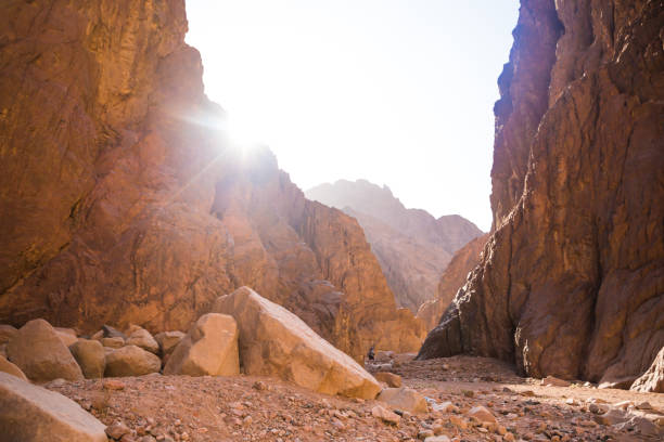 istock Mountains and rock formations in the sinai desert 1166591905