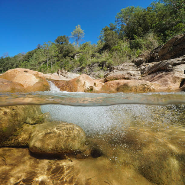istock Rocky river with air bubbles underwater 1166593087