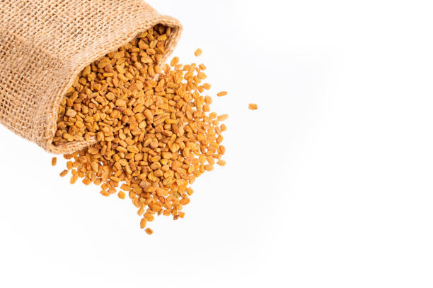 istock Organic fenugreek seeds - Trigonella foenum - graecum 1166593297