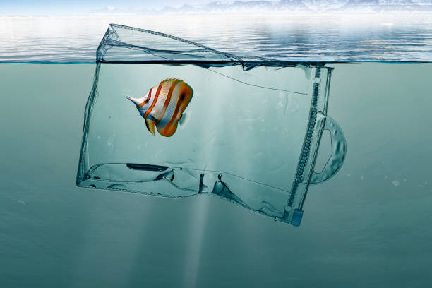 istock Plastic bag with fish, pollution that floats in the ocean 1166593866