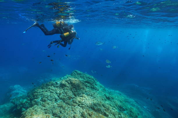istock Scuba diving man and child look fish underwater 1166594705