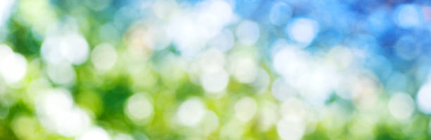 istock Abstract image of natural background. Blurred image made from defocused image of leaves and sky in the garden. 1166594803