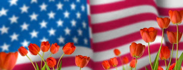 istock America flag and flowers image 1166594966