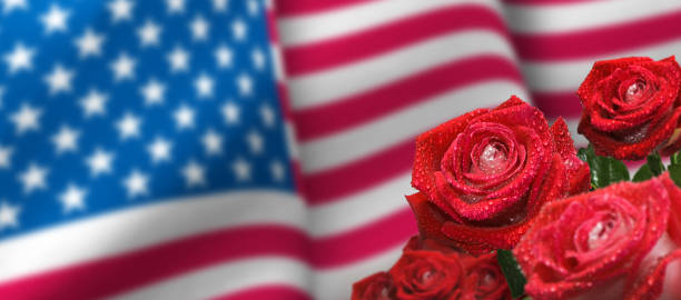 istock rose flower on american flag background 1166594986