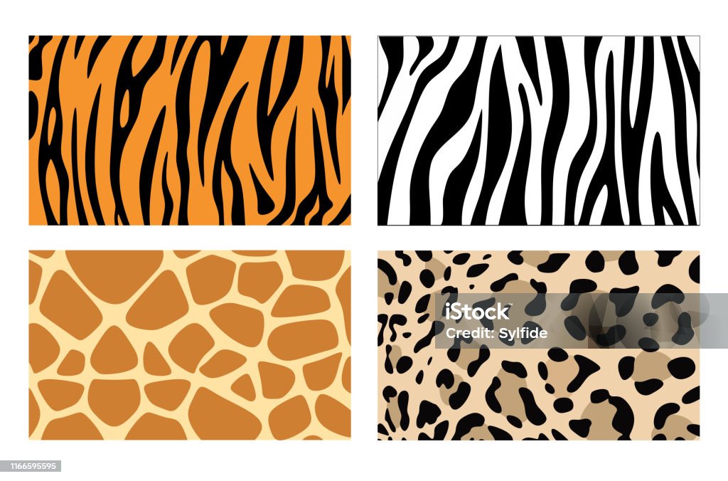 Zebra Giraffe And Leopard Patterns Vector Tiger Stripes And Jaguar Spots  Fur Giraffe And Zebra Seamless Skin Prints Stock Illustration - Download  Image Now - iStock